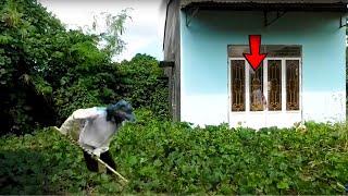 Shocking: Secret of Abandoned House Covered in Weeds Revealed When We Cleaned It Out | Clean Up