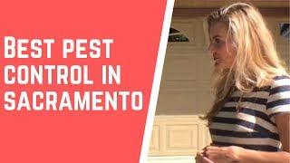 The Best Pest Control in Sacramento You Can Find Living in Sacramento California