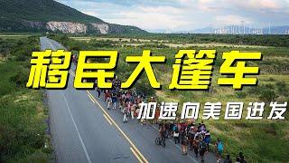 边境风云再起！“移民大篷车”千里奔袭美国梦 「央视财经评论」20241121 | 财经风云