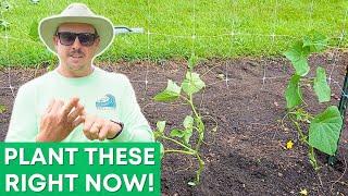 8 Veggies To Grow Again for Fall!