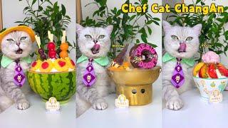 Try My Fresh Summer Treats And Relax! |Cat Cooking Food|Cute And Funny Cat