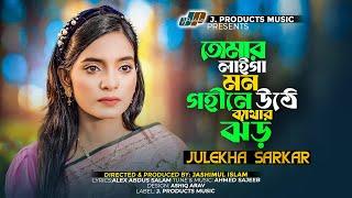 তোমার লাইগা মন গহীনে উঠে ব্যাথার ঝর | JULEKHA SARKAR | Official Music Video | TikTok Viral Song 2023