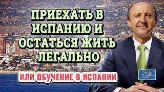 Приехать в Испанию и остаться жить легально или учёба в Испании / Актио Легис Адвокаты в Испании