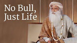 No Bull, Just Life - Sadhguru