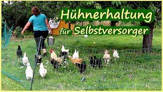 Hühnerhaltung für Selbstversorger - Wie viele Hühner brauche ich um mich selbst zu versorgen?