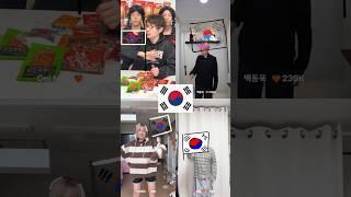 국기 챌린지 4분할 어떤 나라가 가장 잘했나요?
