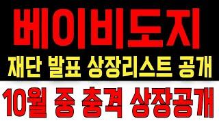 충격 베이비도지 재단 거래소 계약 공개했다 상장리스트 전격공개 #베이비도지