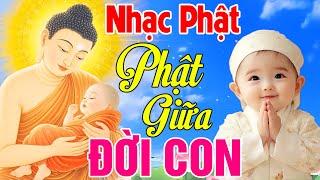 Nhạc Phật Giáo - LK Nhạc Phật Giáo Hay Nhất 2025 #79 Bài Phật Giữa Đời Con #Lời Phật Dạy #NgheBìnhAn