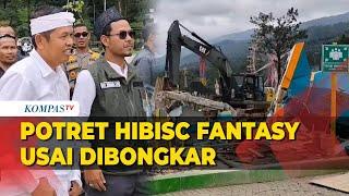 Hibisc Fantasy Puncak Dibongkar, Dedi Mulyadi: Kami Jadikan Hutan