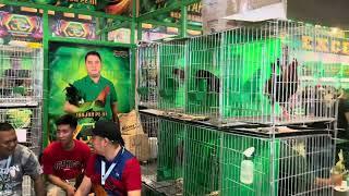 World Gamefowl Expo 2024