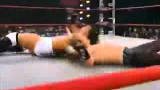 TNA Victory Road Highlights 2011