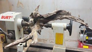 Crazy Woodworking NDT -  Great Ideas from Rotten Tree Roots