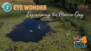 Overlanding Southern Africa: JTS2 Ep 7 - EYE WONDER - Discovering the Marico Oog