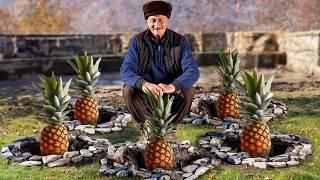 Fresh Pineapple Juice: A Tropical Homemade Delight