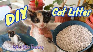 HOMEMADE CAT LITTER + KITTEN LITTER TRAINING