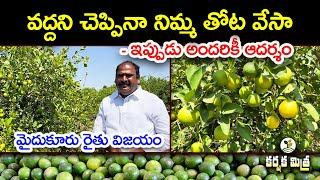 నిమ్మ తోట సాగులో మైదుకూరు రైతు విజయం || The Success Story of a Lemon Farmer || Karshaka Mitra #agri