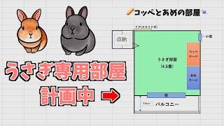 こだわりのうさぎ専用部屋を計画中です【ネザーランドドワーフのコッペ】