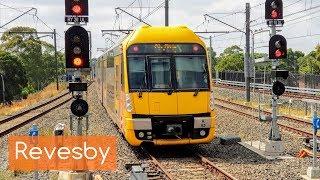 Sydney Trains Vlog 1545: Revesby Trainspotting