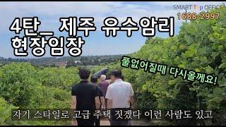 4탄_제주 성산 워케이션 부지 임장