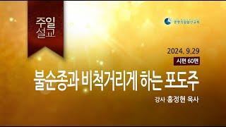 불순종과 비척거리게 하는 포도주 (2024년 9월 30일 - 홍정현 목사)