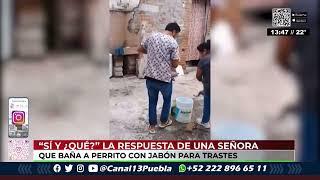 #Canal13Puebla  ¡Estética canina baña a perritos con jabón para trastes!