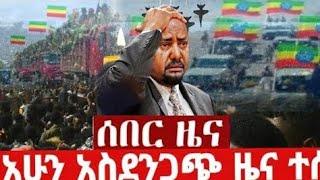 Breaking Ethiopia News NOW! | አሁን በኢትዮጵያ ውሰጥ እየተፈጸመ ያለው መረጃ | ethiopian news today 20 November 2024