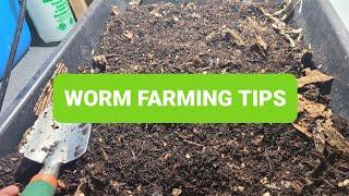 Worm Farming Tips | Worm Bin Maintenance