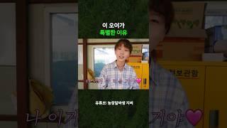 이 오이가 특별한 이유