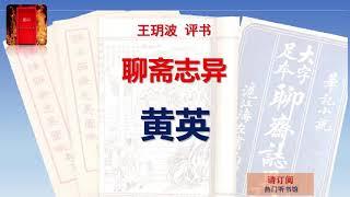 王玥波评书 《聊斋志异》之 《黄英》全本