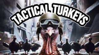 Turkeys First Live of 2025!