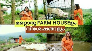 ഈ സ്ഥലവും കാഴ്ചകളും കാണാതെ പോകരുത് || അട്ടപാടിയുടെ വന്യമായ സൗന്ദര്യം