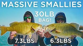 Lake St. Clair Has MASSIVE SMALLMOUTH BASS! (INSANE)