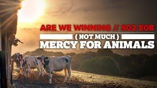 Are We Winning? // (Not Much) Mercy for Animals