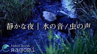 ASMR Water Sounds | Stream Sounds at Night | Nature Sounds for Sleeping, Relax, Insomnia