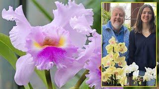 ORCHIDS THE ECCENTRIC WORLD OF THESE AMAZING AND THREATENED PLANTS (Gardening is good for you No....