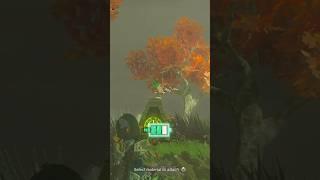 VS, Korok Says Ouch!! Tiers of the Korok