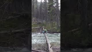 You need to see this river crossing!  #backpacking #idaho #thruhiking #hiking #shorts