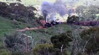 Pichi Richi Railway - Steam Hauled Train Double Header