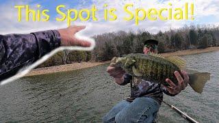 Tim's Ford Smallmouth fishing lost PB Smallmouth/Caught a State Certificate Fish, Prespawn fishing