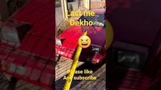 #shams #auto #mechanic #shorts #video
