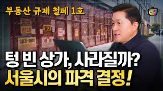 서울시의 파격 결정! 드디어 상가 공실 문제 해결 될까? - 부동산 규제 철폐 1호 (단희쌤)