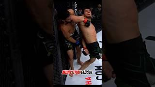 Muay Thai elbow blow  #muaythai  #mma #punch