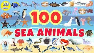 100 SEA ANIMALS for Kids | Aquatic Animals Names and Videos | English Vocabulary