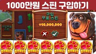 슬롯머신 이기는 방법 ㅣ 1000만원 슬롯 스핀 구입하기-개집은 사랑입니다(BUY FREE SPINS)