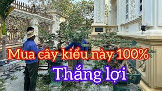 Nguyên tắc vàng mua cây, mua cây kiểu này kiểu gì cũng lãi