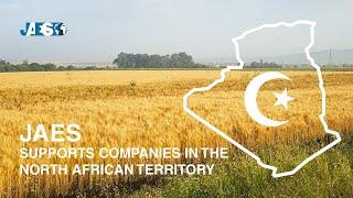 JAES supports companies in the North African territory