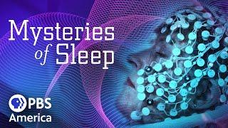 Mysteries of Sleep FULL SPECIAL | NOVA | PBS America