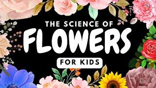 Science of Flowers For Kids by Little Lab | Educational Videos for Toddlers