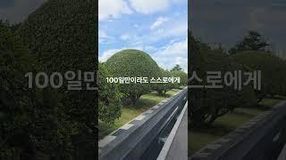 사람 때문에 너무 힘든 당신에게#마음치유 #우울감극복 #정법강의 #감정회복 #자기공부 #정신건강 #상처회복 #혼자서이겨내기 #영혼의공부 #힐링멘트
