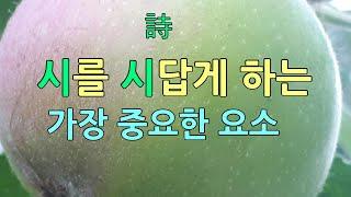 4-1) 운율의 정의 4-2) 운율의 종류, 시를 시답게 하는 가장 중요한 방법, 시 쓰기, 시 창작, 시 해설